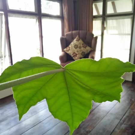 Rumah Pakankamih Букитинги Екстериор снимка